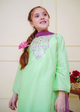 Shanzey Embroidered Cambric Suits Stitched 3 Piece For Girls S25EC SHK-4602